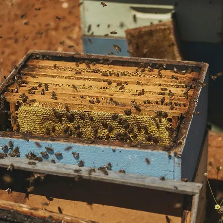 Viceroy Residences At Ombria Algarve منتجع 5*