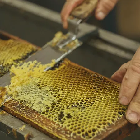 Viceroy Residences At Ombria Algarve منتجع