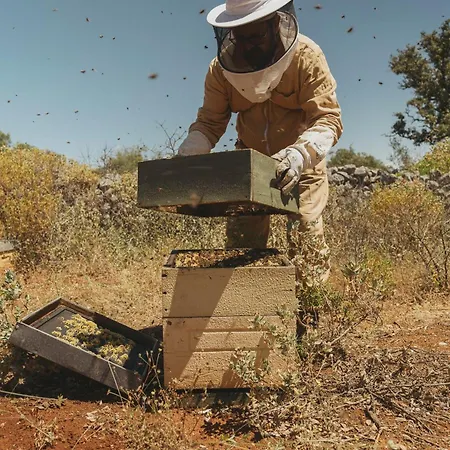 Viceroy Residences At Ombria Algarve منتجع لول